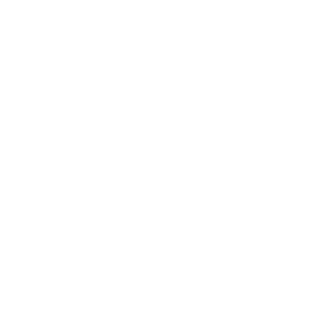 W icon